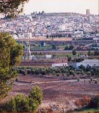 Las mejores ofertas de El Limón Mengíbar